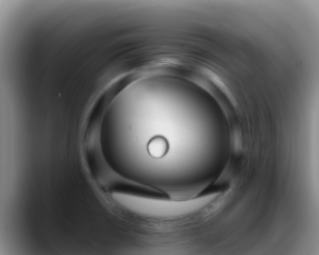 X0000088921426200706151916