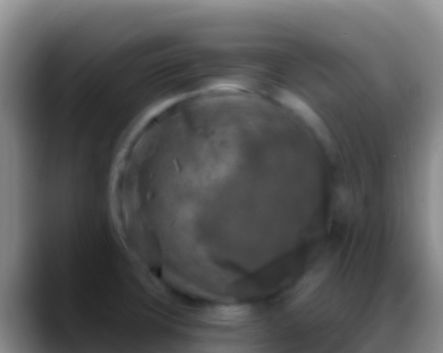 X0000088921427200706151916