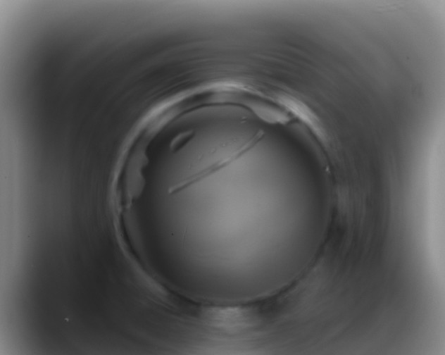 X0000088921428200706151916