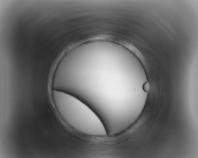 X0000088921429200706151916