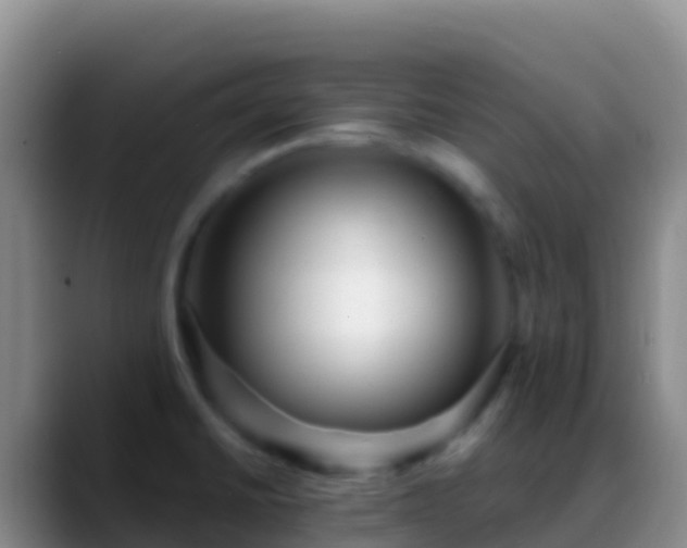X0000088921430200706151916