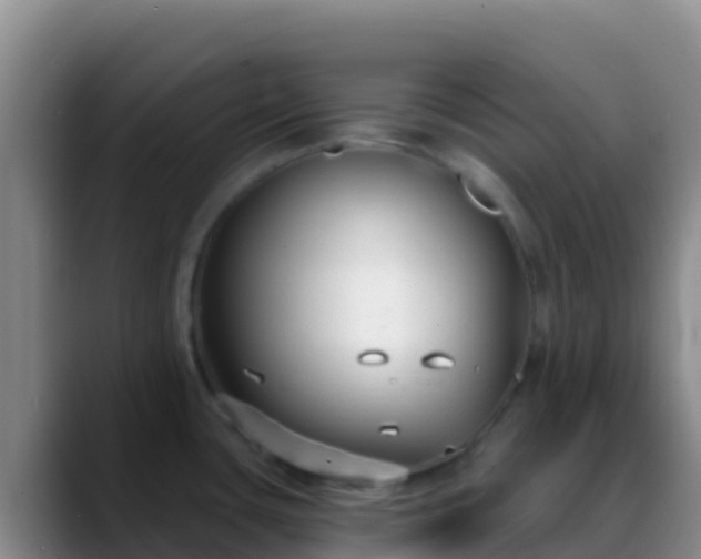 X0000088921435200706151916