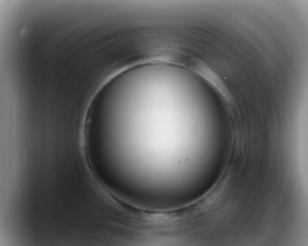 X0000088921436200706151916