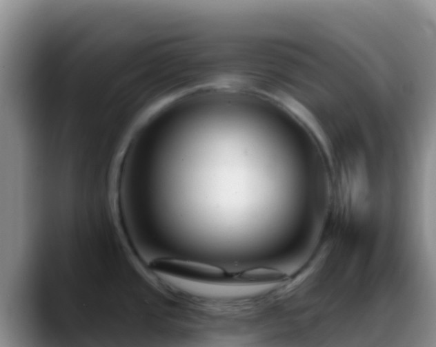 X0000088921437200706151916