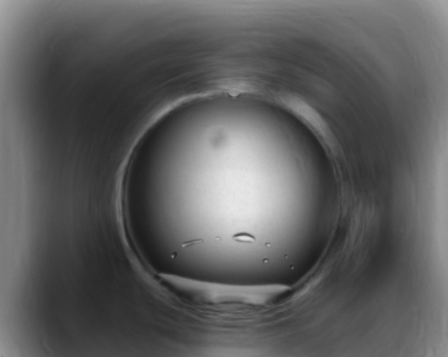 X0000088921439200706151916