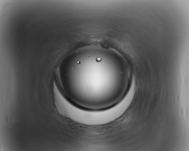 X0000088921441200706151916