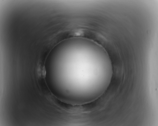 X0000088921442200706151916