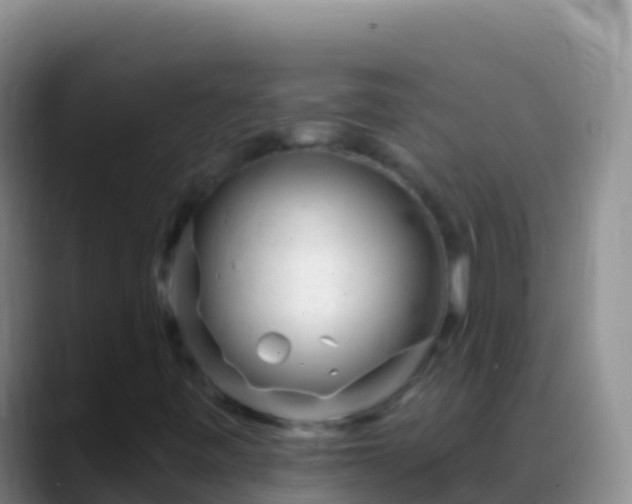 X0000088921443200706151916