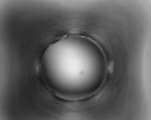 X0000088921444200706151916
