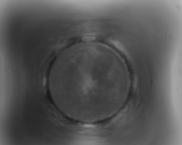 X0000088921445200706151916