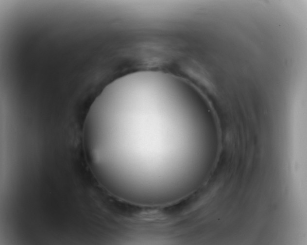 X0000088921447200706151916