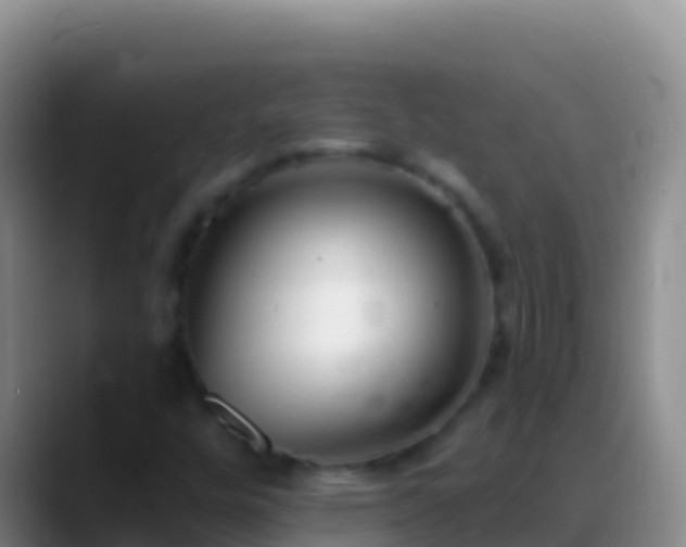 X0000088921448200706151916