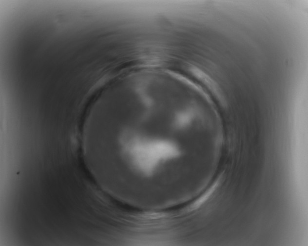 X0000088921449200706151916