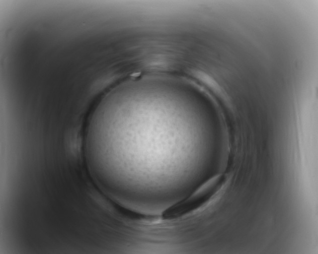 X0000088921450200706151916