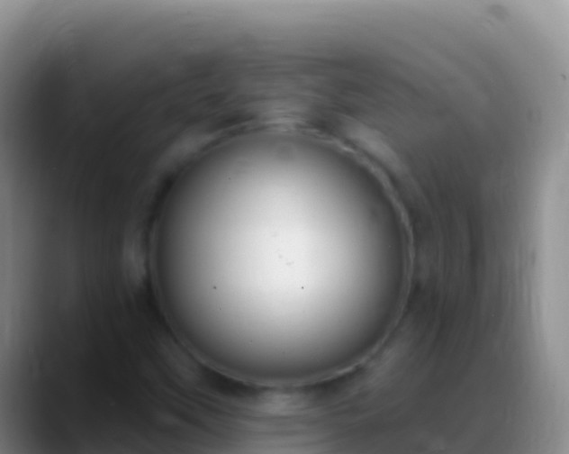 X0000088921451200706151916