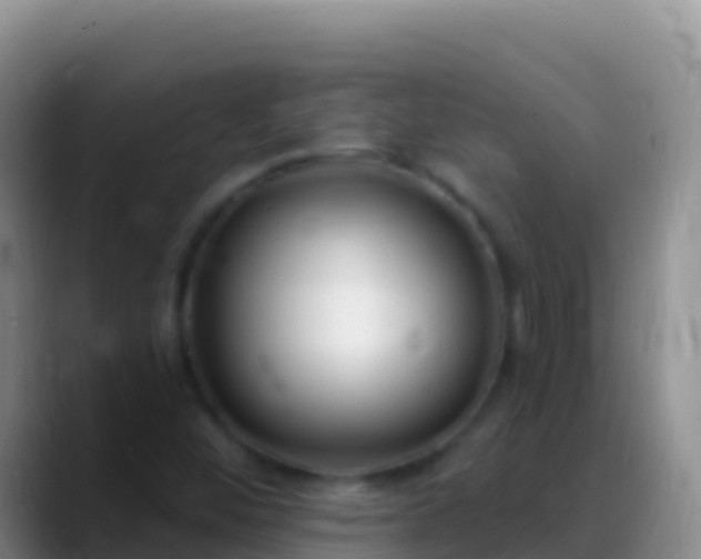 X0000088921452200706151916