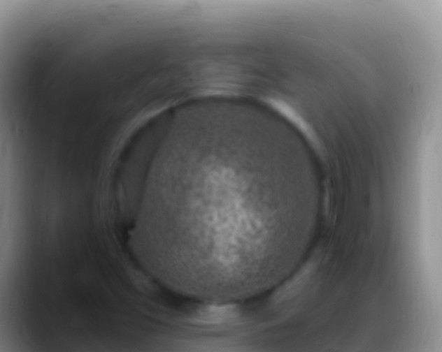 X0000088921453200706151916