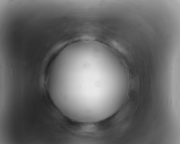 X0000088921454200706151916