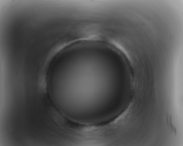 X0000088921455200706151916