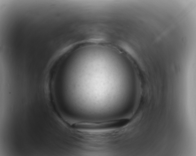 X0000088921456200706151916