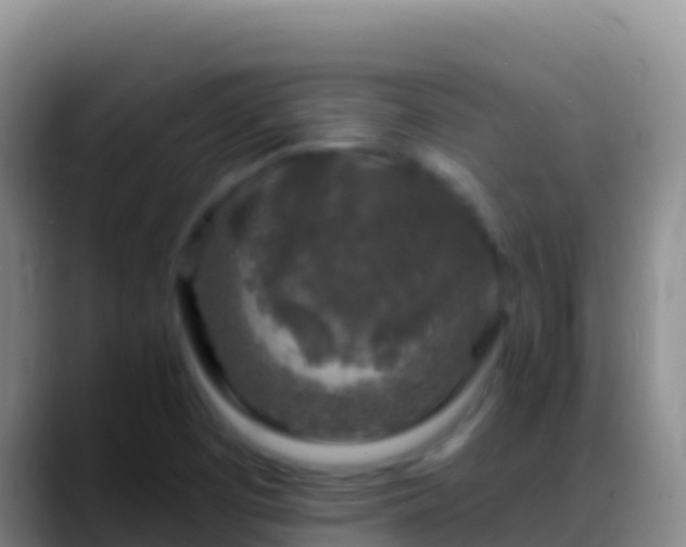 X0000088921457200706151916