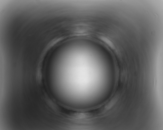 X0000088921458200706151916