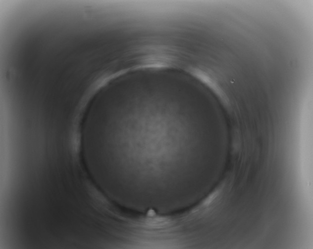 X0000088921459200706151916