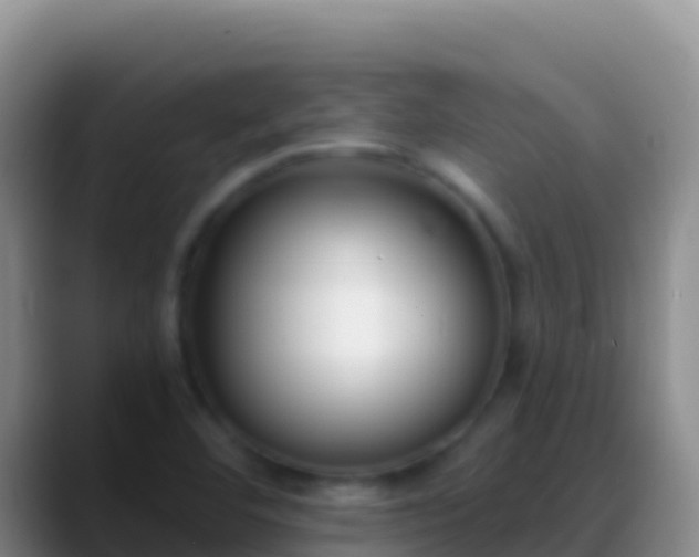 X0000088921460200706151916