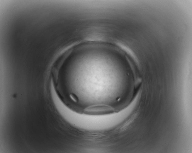 X0000088921461200706151916