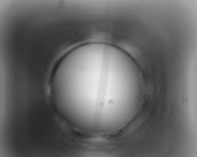 X0000088921462200706151916