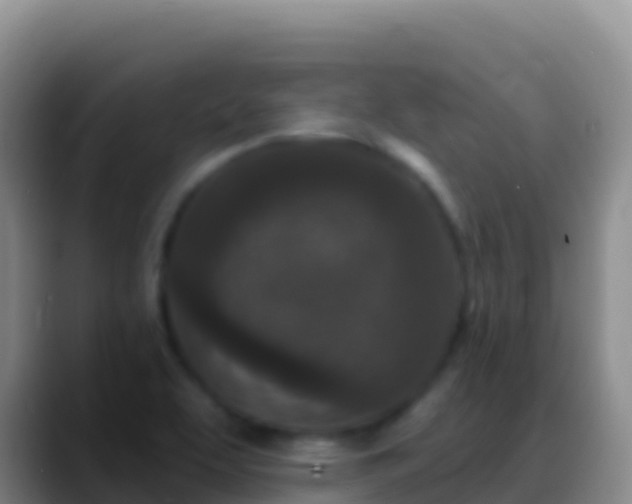 X0000088921463200706151916