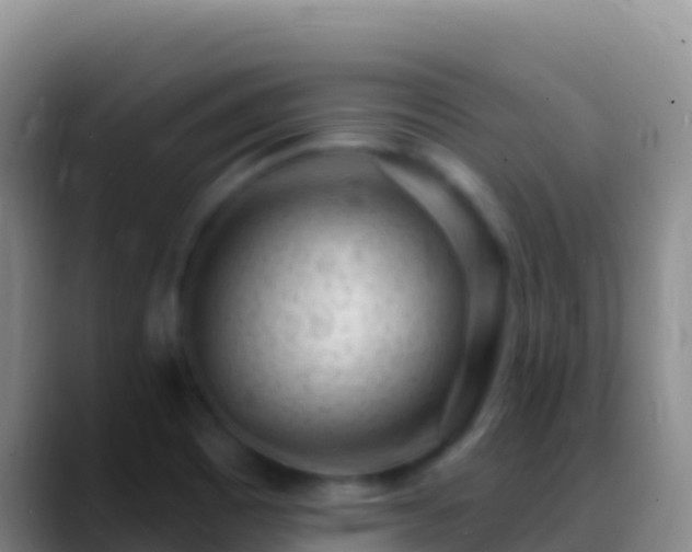 X0000088921465200706151916
