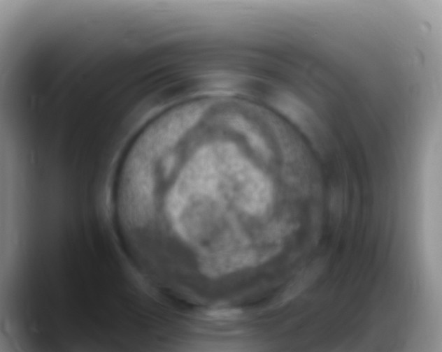 X0000088921466200706151916