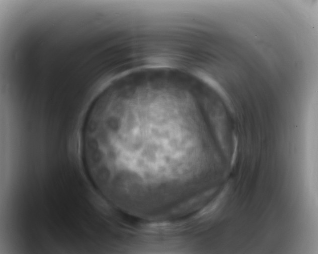 X0000088921467200706151916