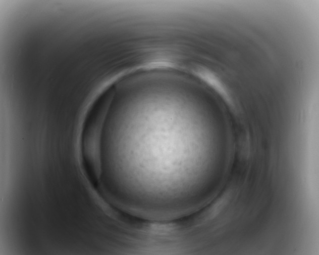 X0000088921469200706151915