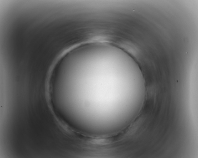 X0000088921470200706151915