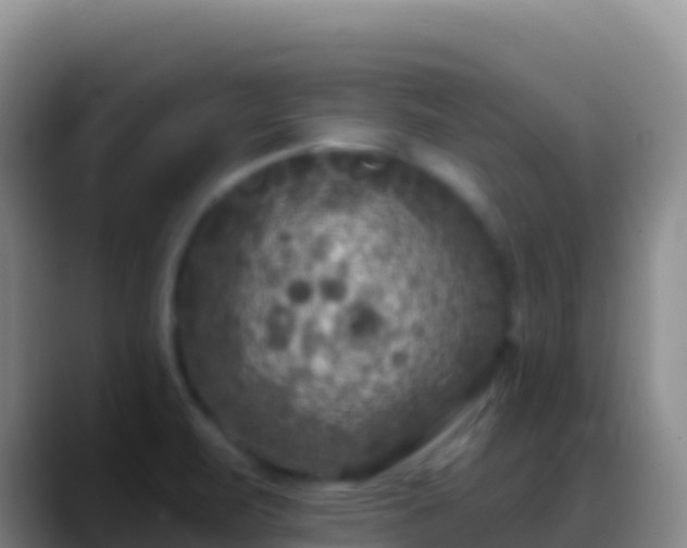 X0000088921471200706151915