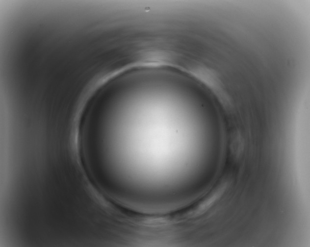 X0000088921472200706151915
