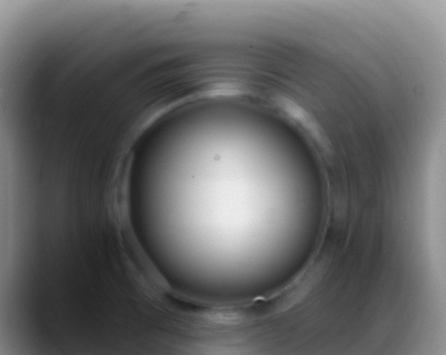 X0000088921473200706151915
