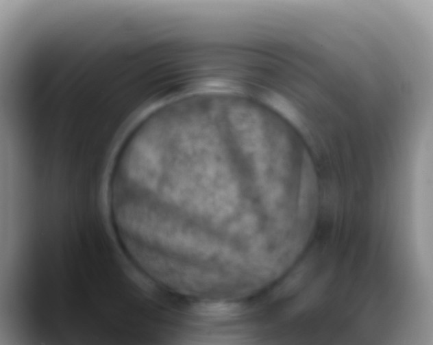 X0000088921474200706151915