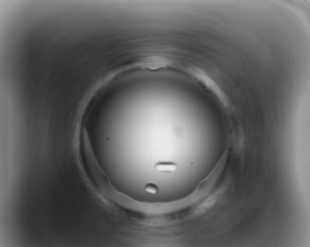 X0000088921477200706151915