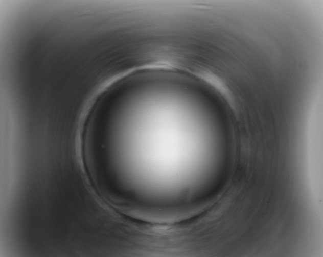 X0000088921480200706151915
