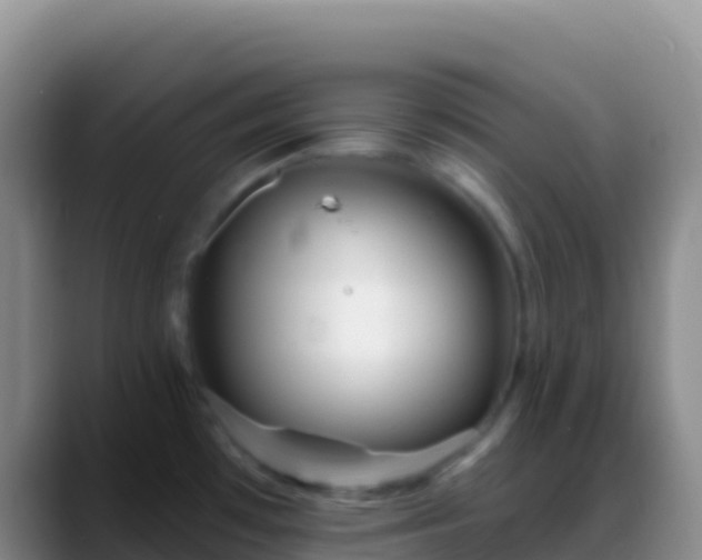 X0000088921481200706151915
