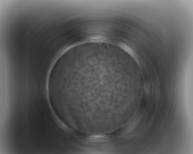 X0000088921482200706151915
