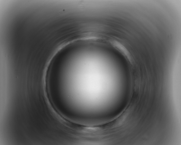 X0000088921483200706151915