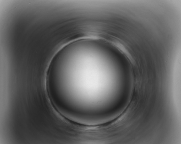 X0000088921484200706151915