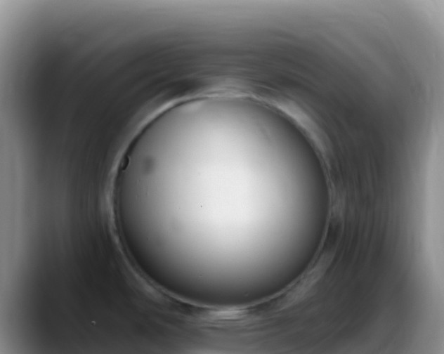 X0000088921486200706151915