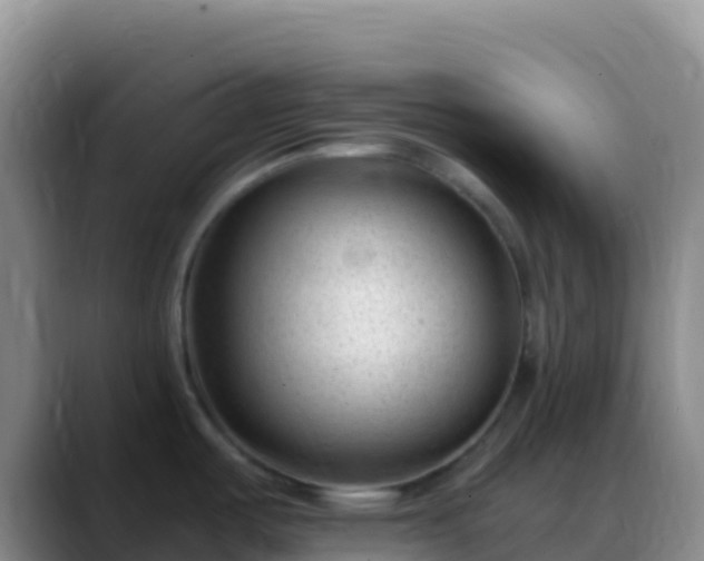 X0000088921487200706151915