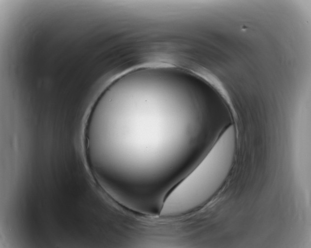 X0000088921488200706151915
