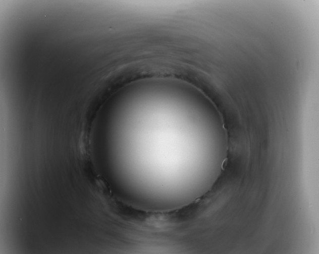X0000088921490200706151915